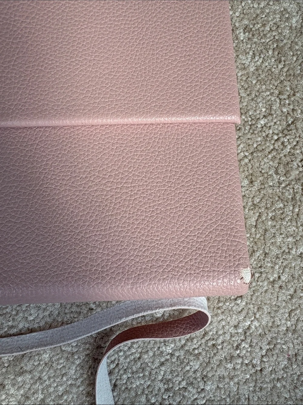 Blush Pink Tie-Closure Accordion Folder